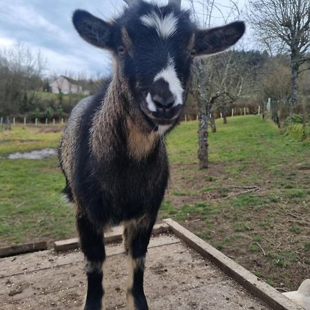 Villa La Colongère Reclesne Esterno foto