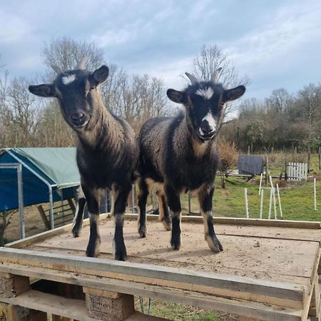 Villa La Colongère Reclesne Esterno foto